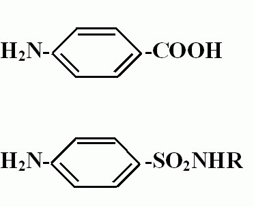 磺胺类药物对二氢叶酸合成酶的竞争性抑制_食