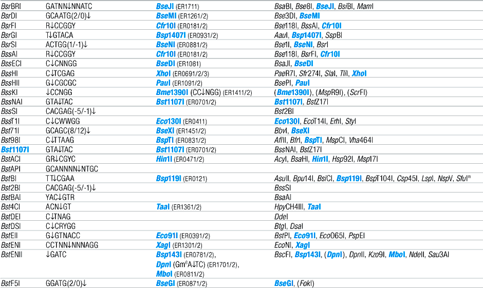 Alphabetic List of Commercial Isoschizomers and Corresponding Fermentas Restriction Endonucleases (B)