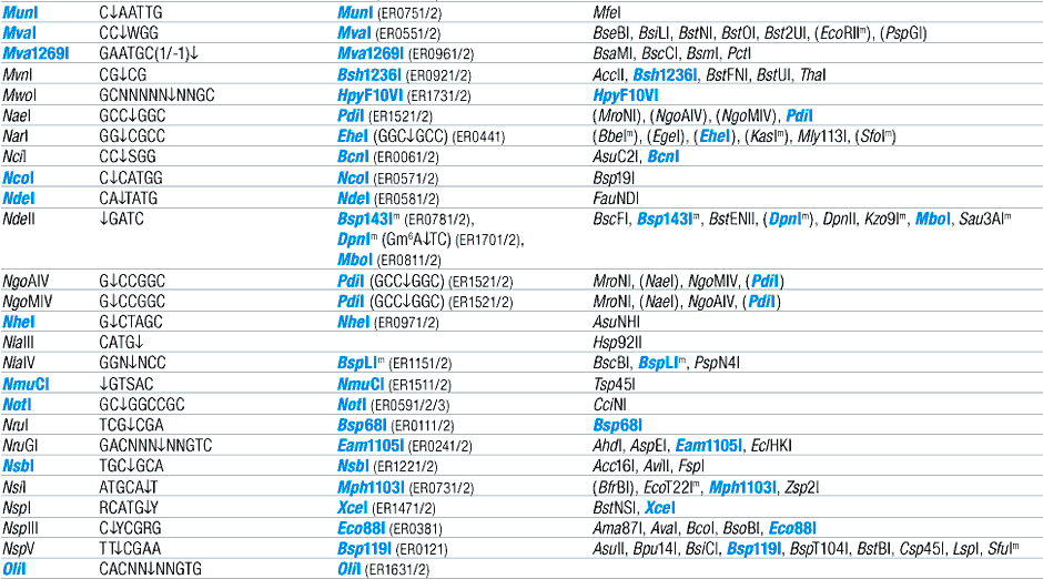Alphabetic List of Commercial Isoschizomers and Corresponding Fermentas Restriction Endonucleases (L, M, N, O)