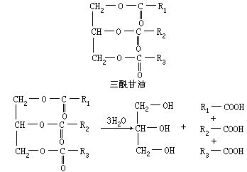 三酰甘油( triacylglyceride)